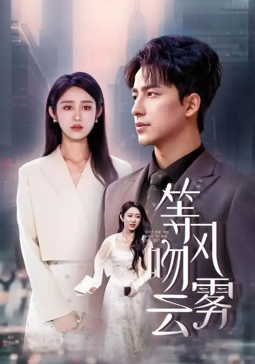 山海情缘电视剧海报